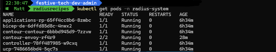Radius system namespace pods